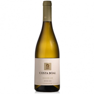 Vinha Costa Boal Superior - Douro White