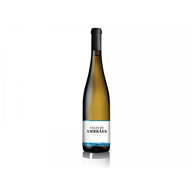 Vale De Ambrães Alvarinho Branco