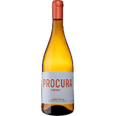 Procura na Ânfora  Branco