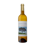 Sousa Lopes Loureiro