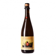 Espumante Qt. Serradinha Natural