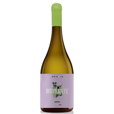 Moinante Encruzado  Branco