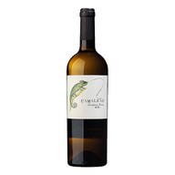 Camaleão Sauvignon Branco