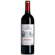 São Lourenço White