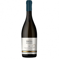 Adega Mae Atlantico Pinot Noir Tinto