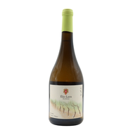 Élio Lara Dos Seixos White