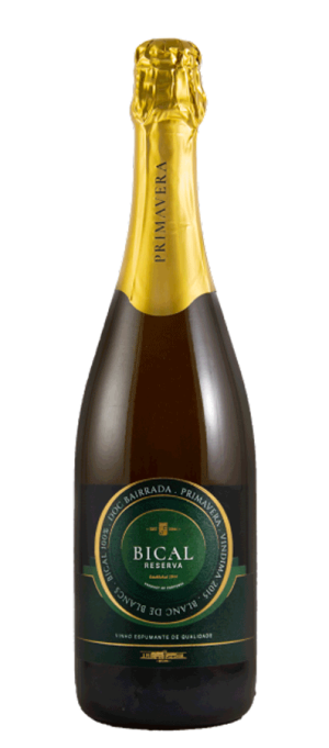 Primavera Baga Reserva 100%