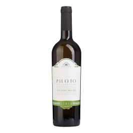 Piloto Collection Siria