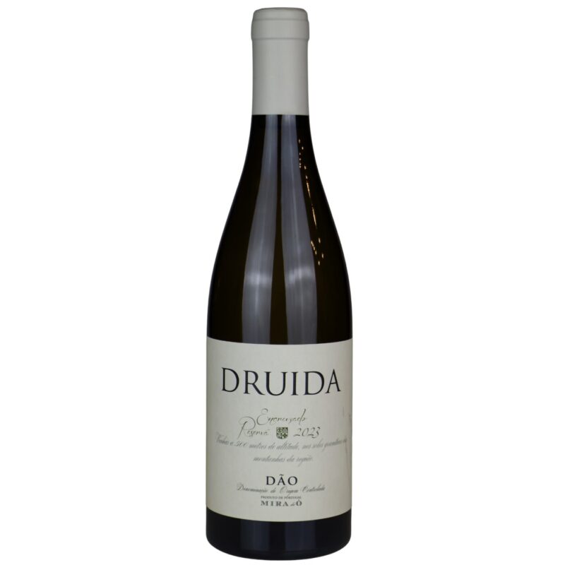 Druida Encruzado Reserva