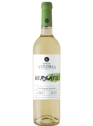 Casa De Santa Vitória Versátil