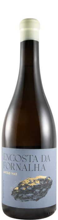 Encosta Da Fornalha Antão Vaz
