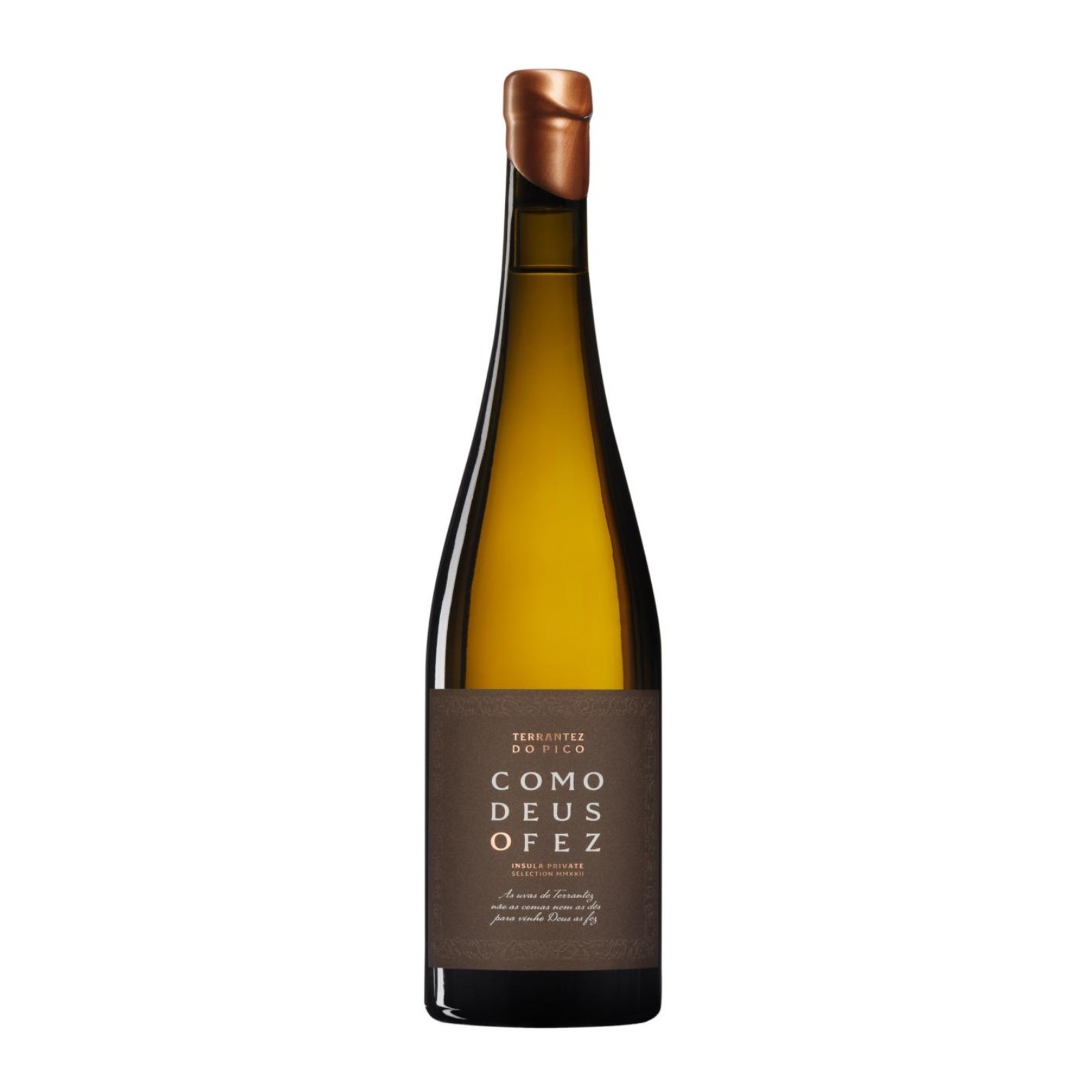 Insula Como Deus O Fez Terrantez