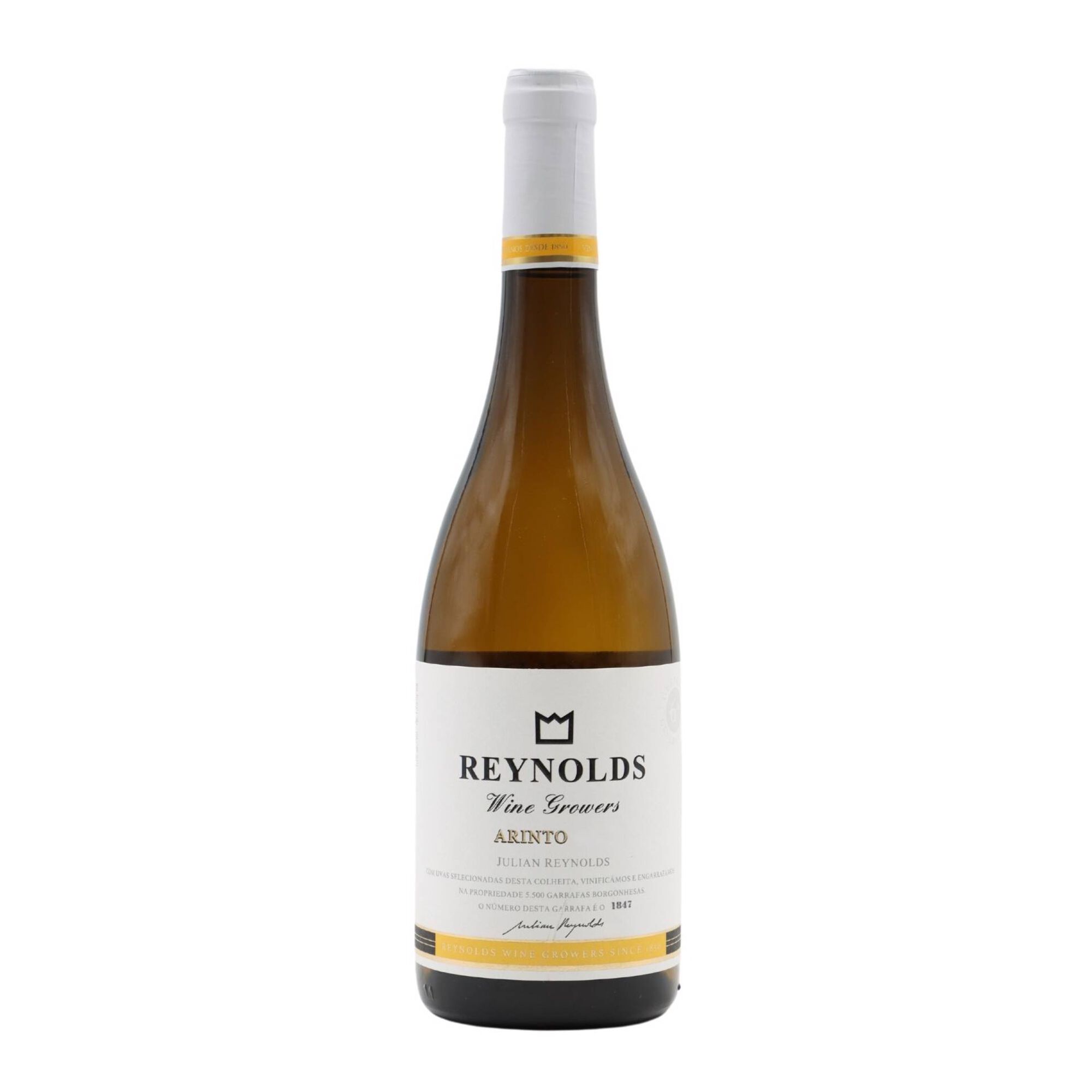 Reynold's Julian Arinto Alentejo