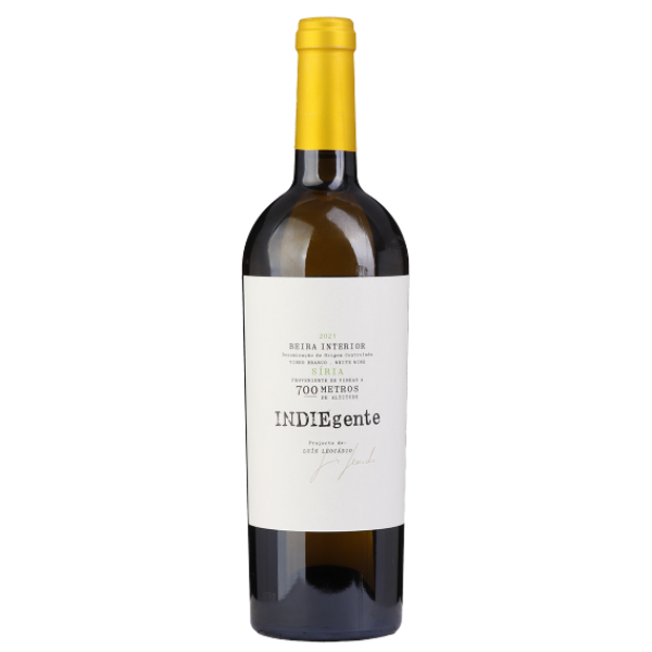 Titan Indiegente Siria