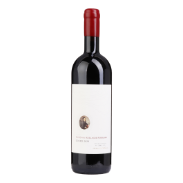 Antónia Adelaide Ferreira