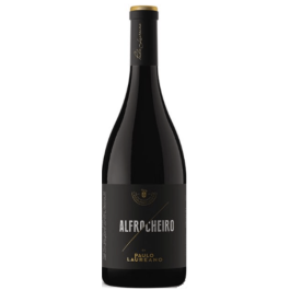 Paulo Laureano Alfrocheiro