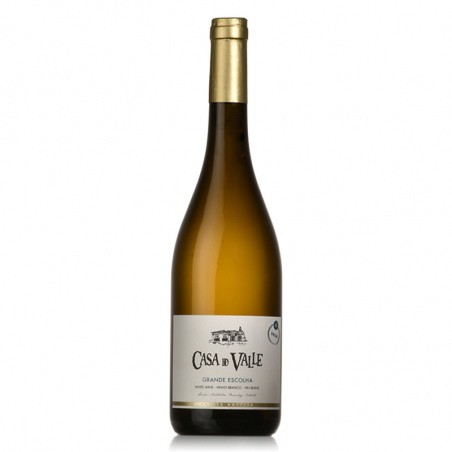 Verde Casa Do Valle Grande Escolha