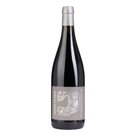 Susana Esteban A Centenária