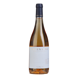 Vicentino Pinot Noir