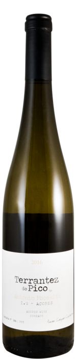 Terrantez Do Pico By António Maçanita