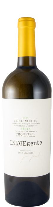 Titan Of Beira Interior Indiegente Síria