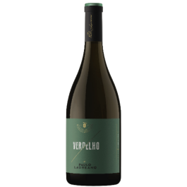 Paulo Laureano Verdelho