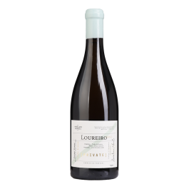 Anselmo Mendes Private Loureiro