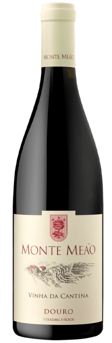 Monte Meão Vinha Dos Novos Magnum