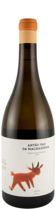 Antão Vaz Da Malhadinha Vinha Da Peceguina Biológico