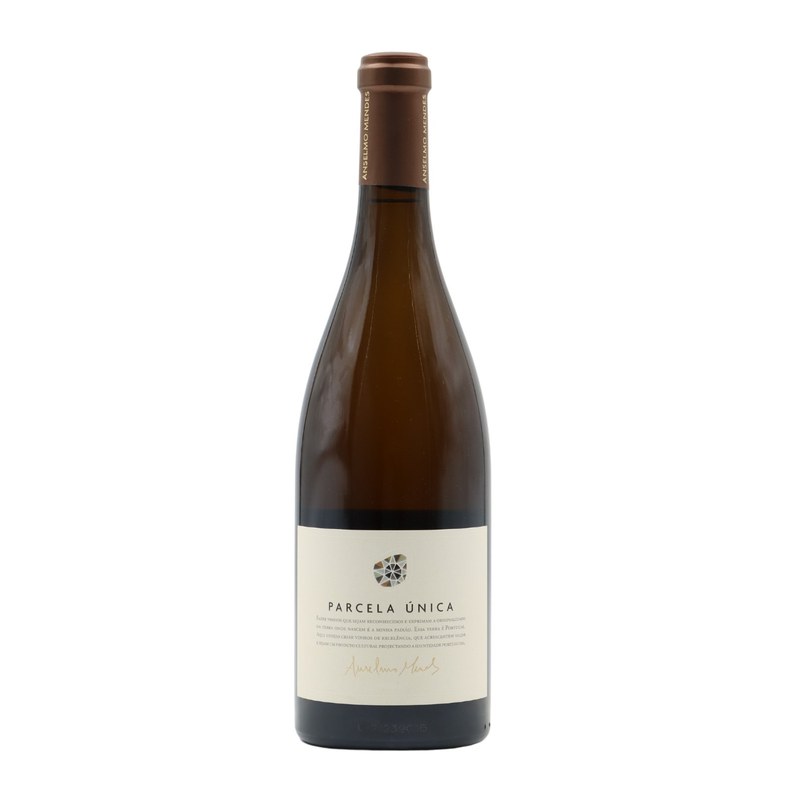Anselmo Mendes Parcela Única