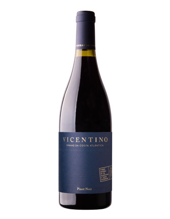 Vicentino Pinot Noir