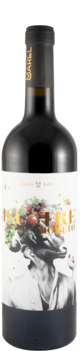 Marel Ilustre Moreto