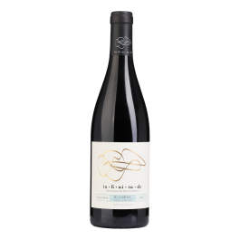 Infinitude Pinot Noir