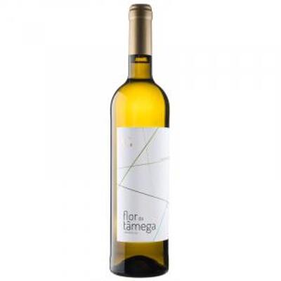 Flôr Do Tamega