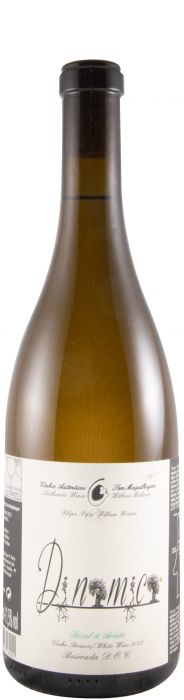 Filipa Pato Dinâmica