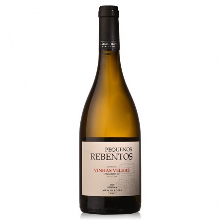 Verde Pequenos Rebentos Vinhas Velhas