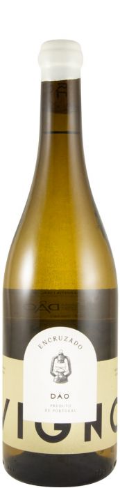 Freire Lobo Vigno Encruzado