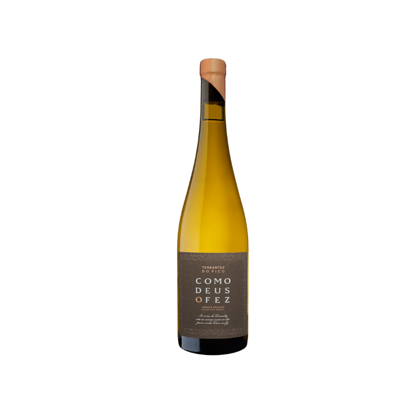 Insula Como Deus O Fez Terrantez