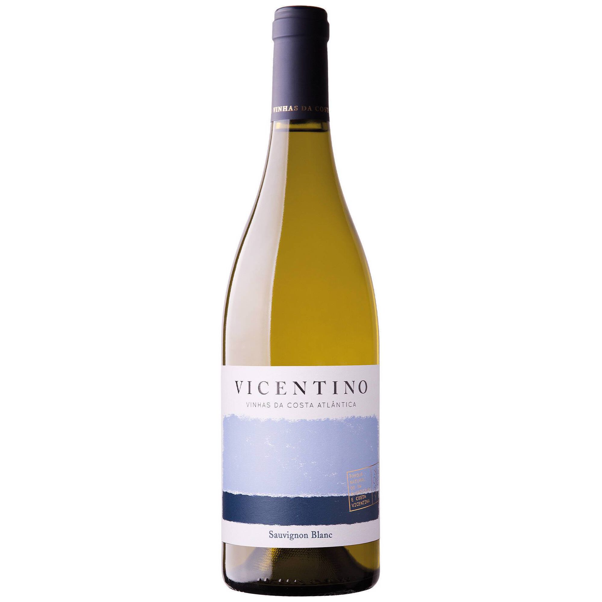 Vicentino Sauvignon Alentejano