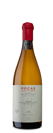 Poças Fora Da Série Ânfora