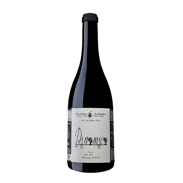 Filipa Pato Dinamica