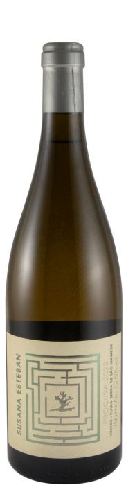 Susana Esteban Procura