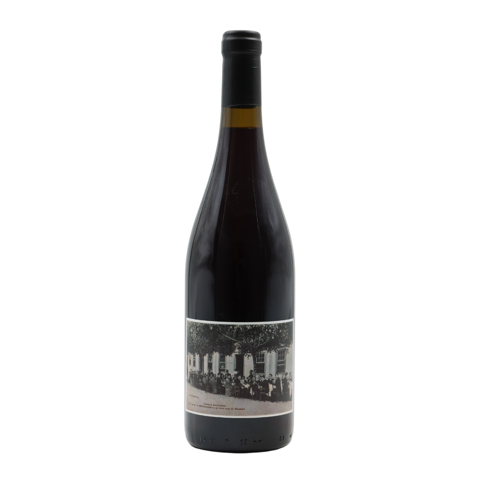 Campolargo Alvarelhão