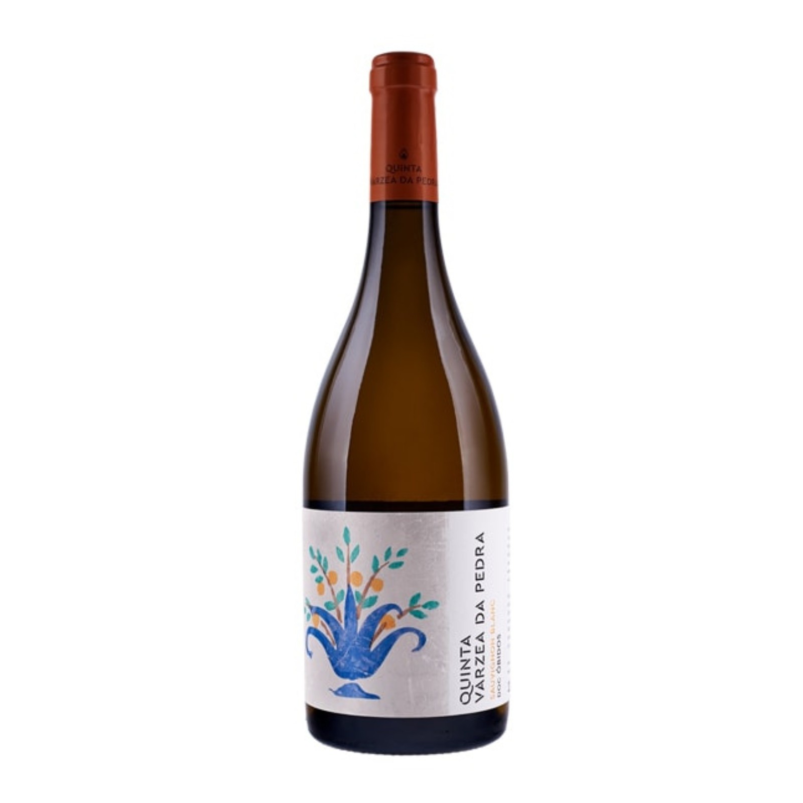 Quinta Várzea Da Pedra Sauvignon