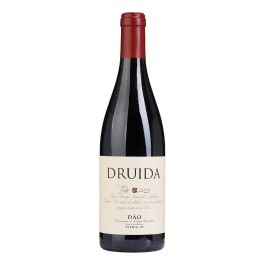 Druida