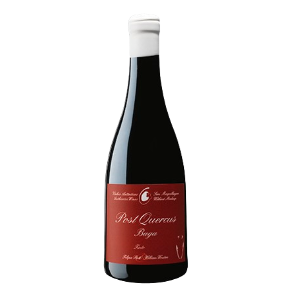 Filipa Pato Post Quercus Baga 1 Litro