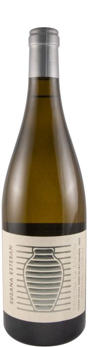 Susana Esteban Procura Na Ânfora