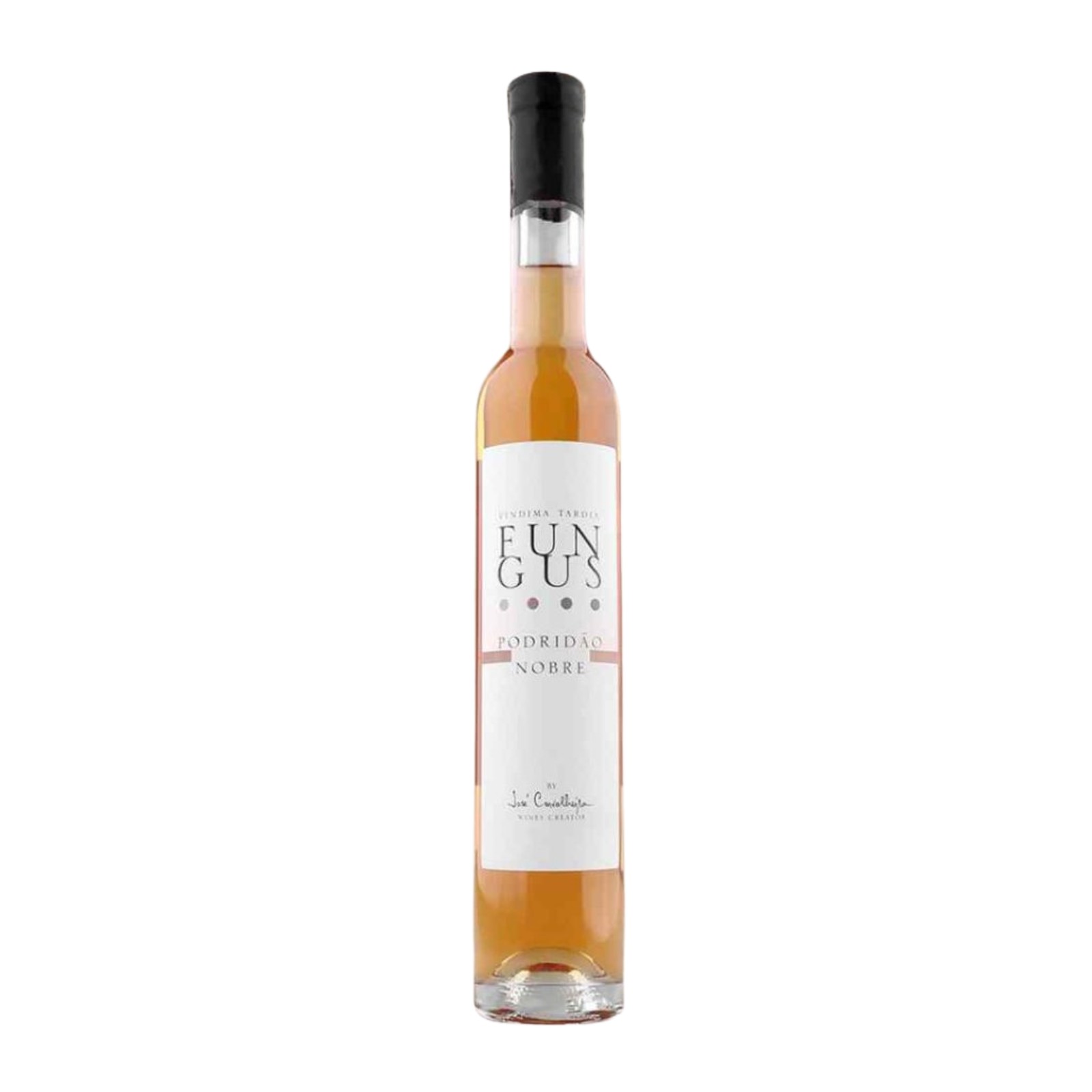 Carvalheira Fungus Tardia