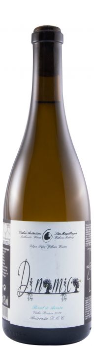 Filipa Pato Dinamica