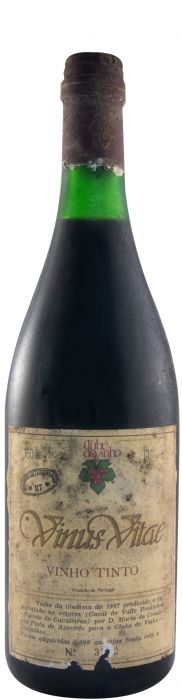 Vinus Vitae Macedo De Cavaleiros